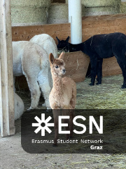 WhatsApp Image 2025-10-26 at 08.59.58 (2)