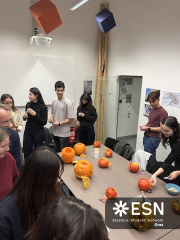 98026595-B3EA-4739-96A1-F86491AC52E8 4 5005 c