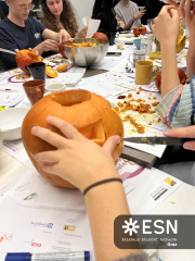 B19F23A4-F9D6-40C0-8129-D3309C1E645B 4 5005 c