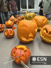 B5CDFF20-8761-49DE-B65C-719DB235D422 4 5005 c