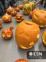 D1265CF2-BCB8-43DF-BF3F-75DD048EB3C8 4 5005 c