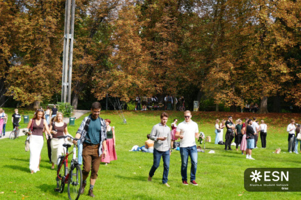 WhatsApp Image 2025-11-12 at 17.33.31