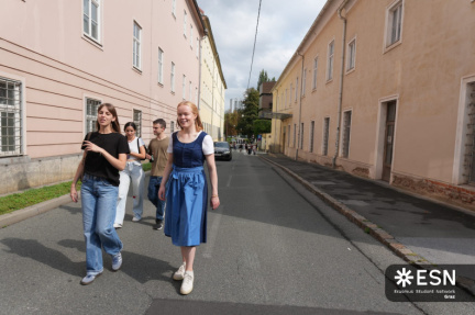 WhatsApp Image 2025-11-12 at 17.33.32