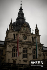 WhatsApp Image 2026-02-05 at 15.37.49 (3)