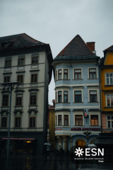 WhatsApp Image 2026-02-05 at 15.37.50