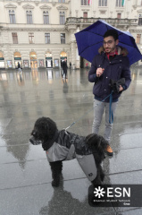 WhatsApp Image 2026-02-05 at 15.36.59