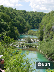 P1040629